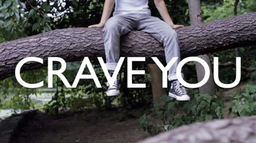 Flight Facilities - Crave You